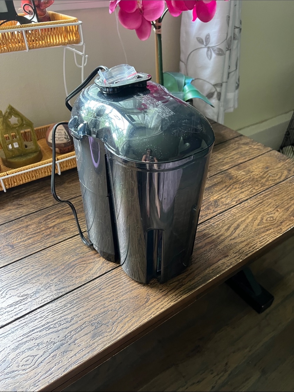 Black Home Juicer - Sleek Black Finish
